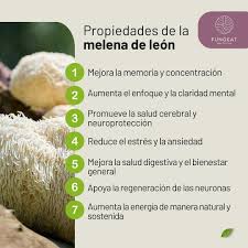 Melena de león Natural Health 60 cápsulas